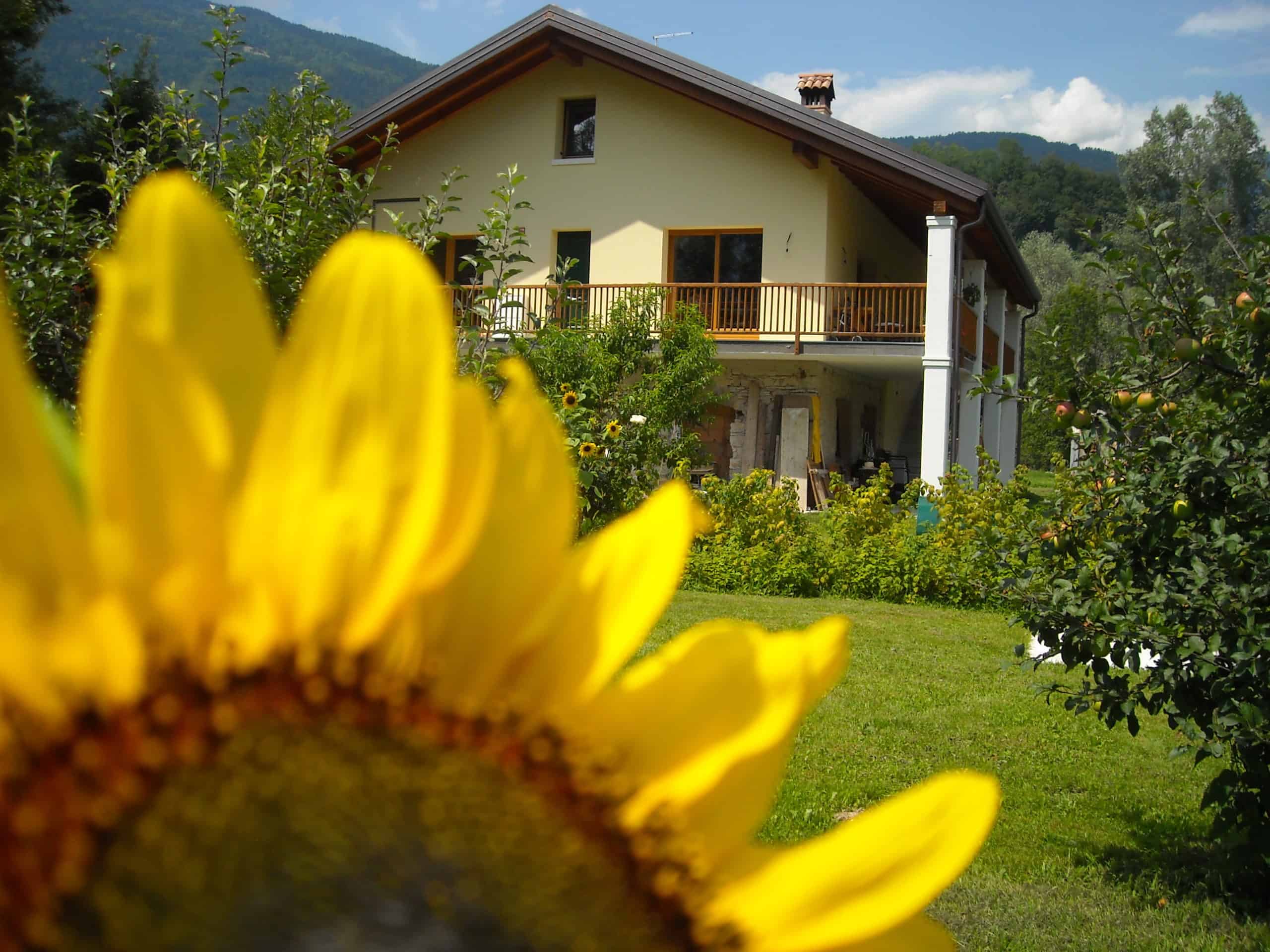 Fratucello Ettore Agriturismo Il Girasole