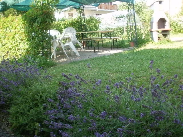 foto giardino lavanda