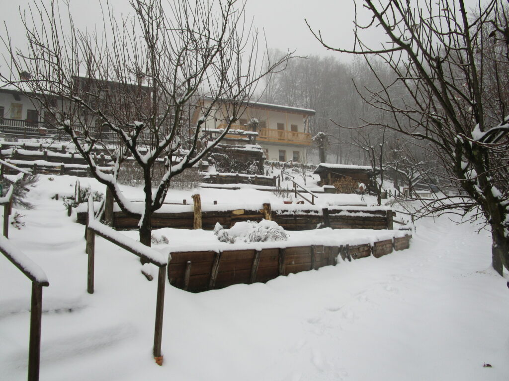 foto prato innevato