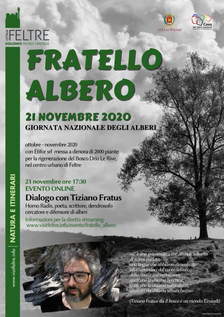 fratello albero