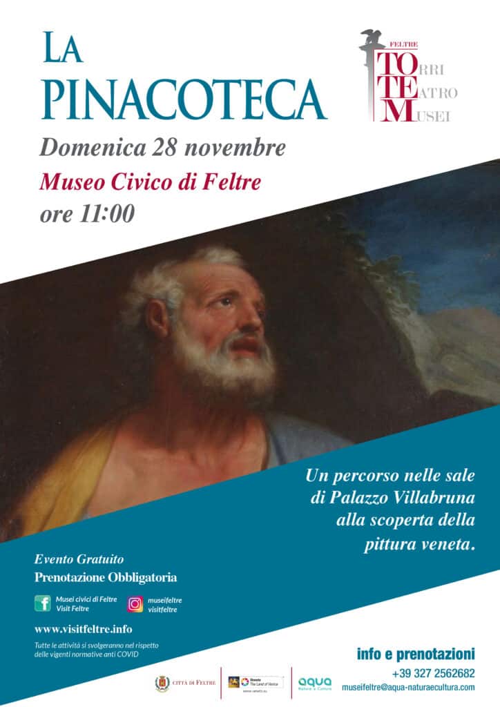 feltre pinacoteca c