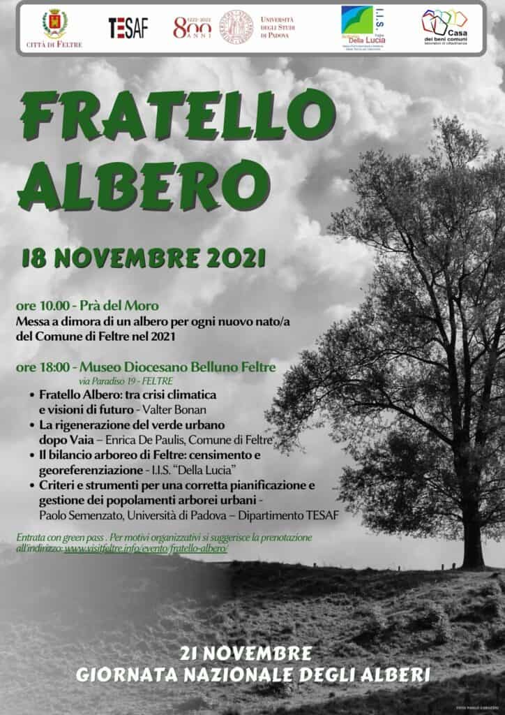 fratello albero