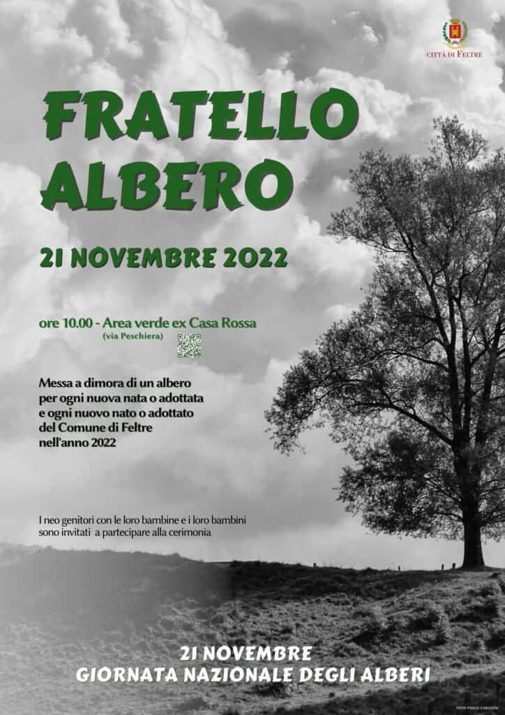 fratello albero