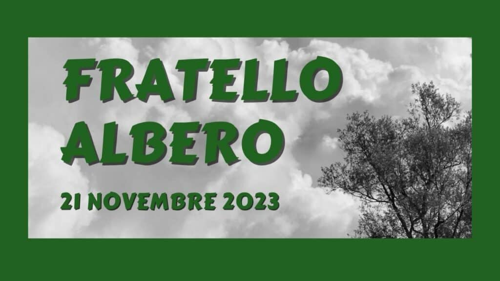 FRATELLO ALBERO VISITFELTRE