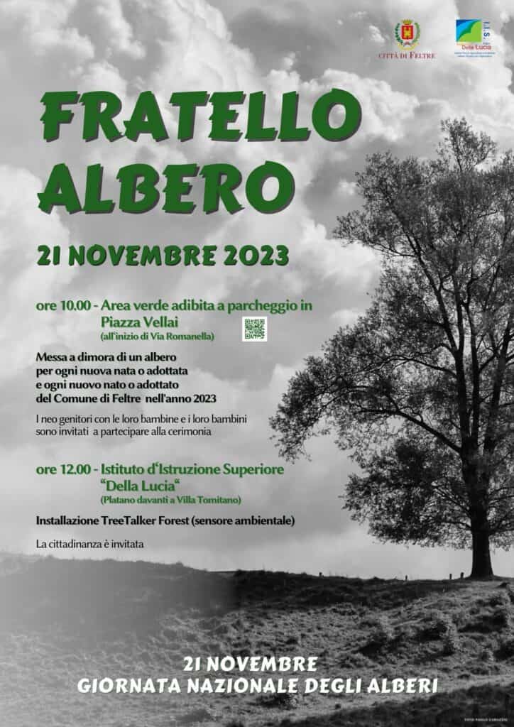 fratello albero def