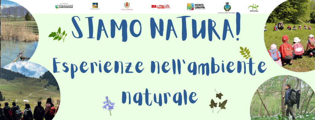 Progetto senza titolo ()