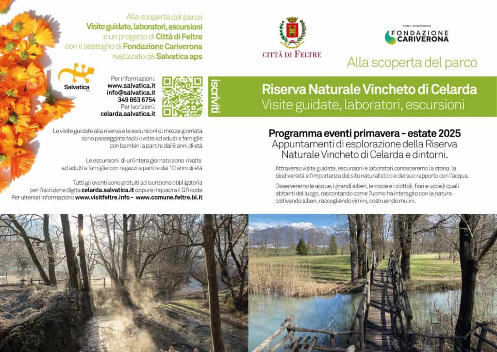 pieghevole Celarda A programma due FUORI