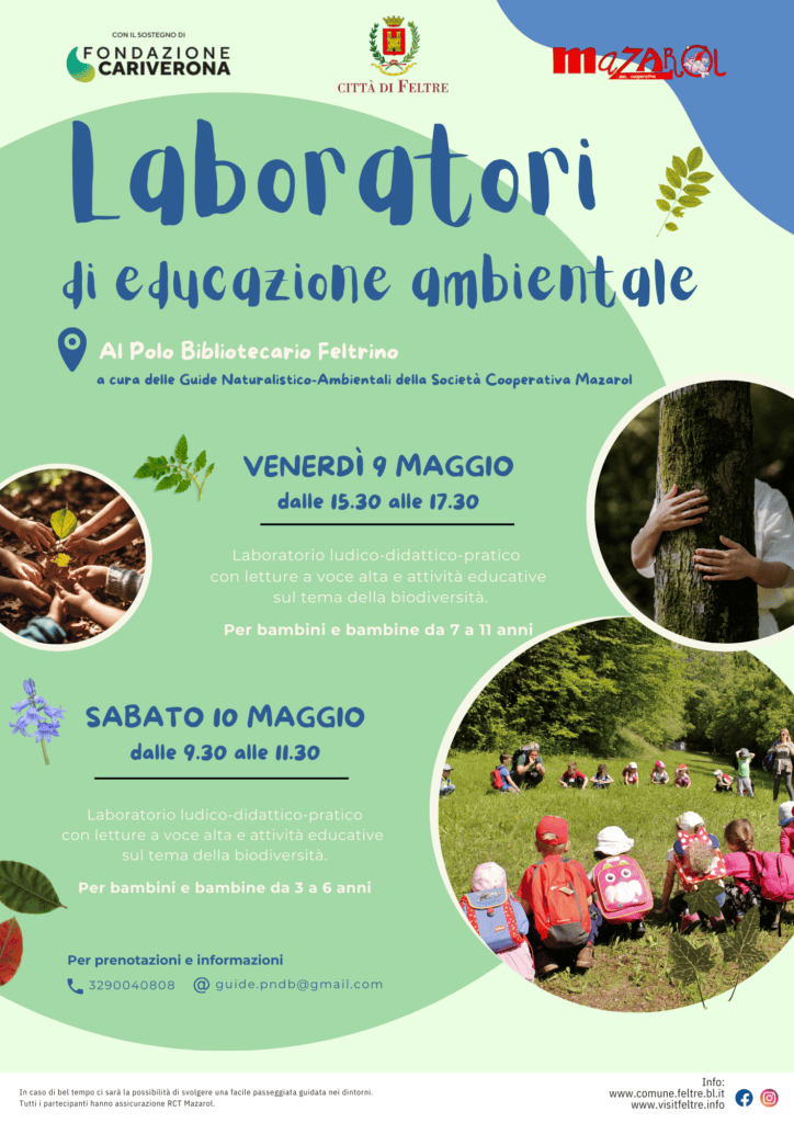 Laboratori biblioteca