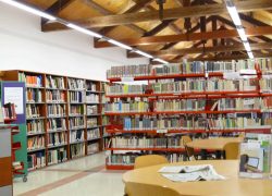 interno biblioteca feltre