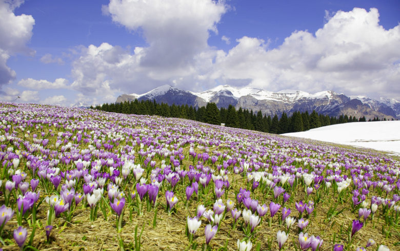 Parco Nazionale Dolomiti Bellunesi